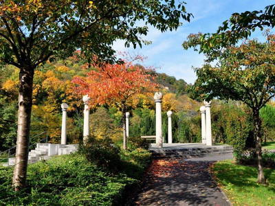 Bild 7 aus  Weingut Butzbach