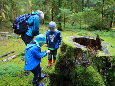 Bild 7 aus  Gutshof Armbruster