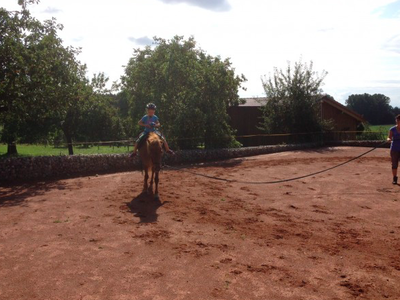 Bild 22 aus  Ferienwohnungen Strobel Eichstegen