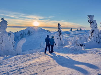 Bild 53 aus  Arber Lofts