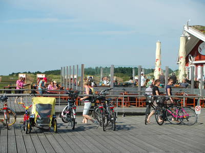 Bild 51 aus  Ferienhof Peter -  Ponys - streicheln, striegeln, füttern  -  Wattwanderungen + ganz viel Nordsee