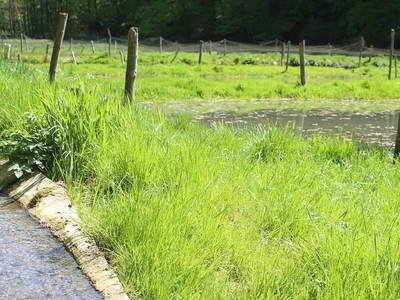 Bild 30 aus  Hollweck's Landoase