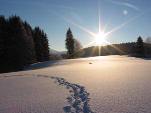 Bild 27 aus  Landhaus Rombach