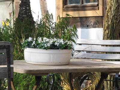 Bild 24 aus  Gut Waldhof