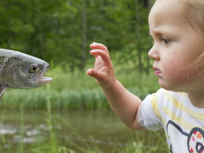 Bild 36 aus  LandSelection Gut Grasleiten