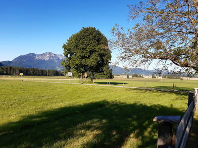 Bild 17 aus  Jodlhof Kochel am See