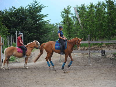 Bild 12 aus  Siglgut