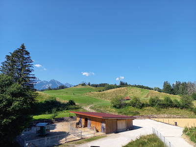 Bild 8 aus  AllgäuMax