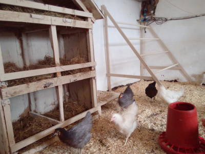 Bild 10 aus  Familienbauernhof Faß