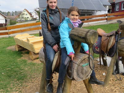 Zur Not geht das Reiten auch auf Hozpferden