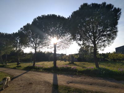 Bild 48 aus  Urlaub auf dem Lande zwischen den zwei Meeren - Apulien - Salento