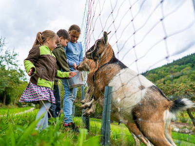 mit helfen auf dem Langenhof