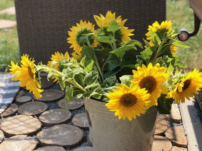 Bild 39 aus  Tiny House Odenwald