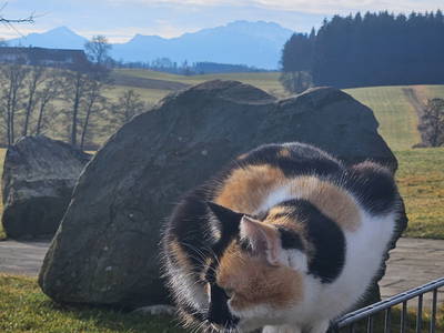 Bild 49 aus  Frankhof