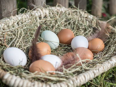 Bild 7 aus  Ferienhof Herz im Oberallgäu