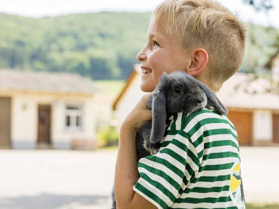 Bild 16 aus  An Webers Stoag