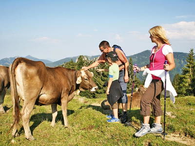 Bild 28 aus  Gmeinder's Landhaus