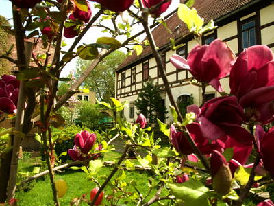 Bild 4 aus  Luminohof