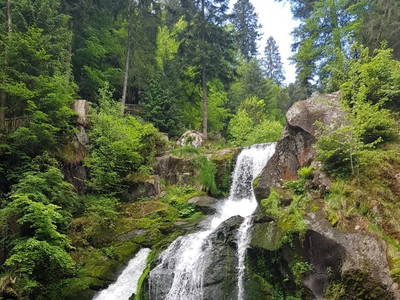 Bild 22 aus  Ferienwohnung Rüttwaldhof