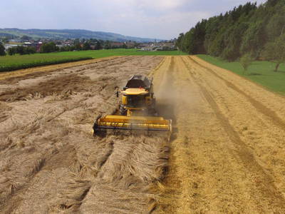 Bild 63 aus  Familien-Bauernhofurlaub im Herzen der Schweiz