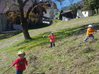Bild 48 aus  Kreuzplon