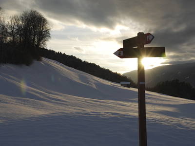 Bild 13 aus  Haus Sonnegg