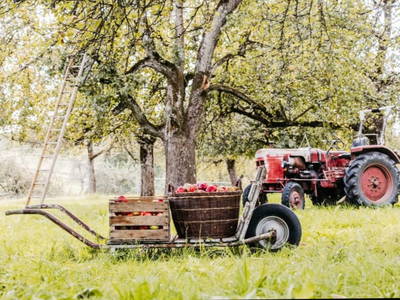 Bild 5 aus  Streuobst Chalets