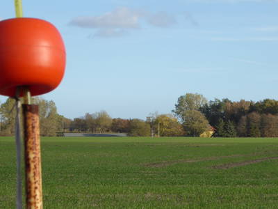 Bild 63 aus  Ferienhaus Gut Rattelvitz-INSEL RÜGEN