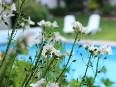 Bild 3 aus  Ferienwohnungen Innerhofer Riffian bei Meran - Adults Only