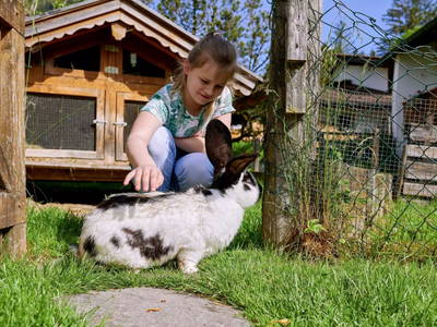 Bild 16 aus  Wiesenhäusl