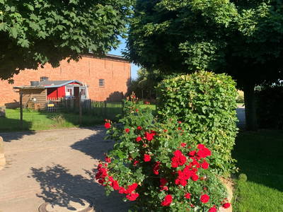 gegenüber der Wohnung findet ihr den Hühnergarten