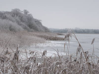 Bild 21 aus  Gestüt Hof am See