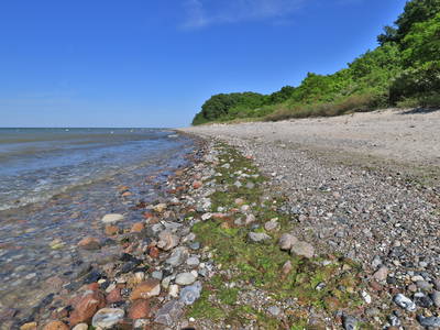 Bild 17 aus  Ferienhaus Smutje