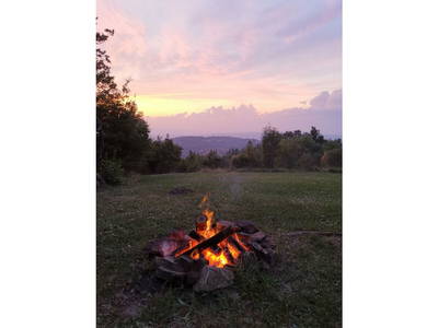 Bild 7 aus  Ferienhaus Casa Viola