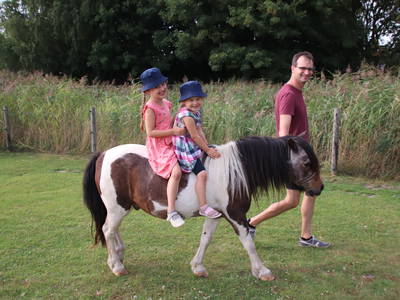 Bild 11 aus  Nordsee-Ferienhof Wittmaack - Beliebtester Ferienhof Deutschlands 2024