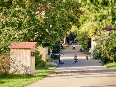 Bild 5 aus  Ferienhof Larrieder Mühle