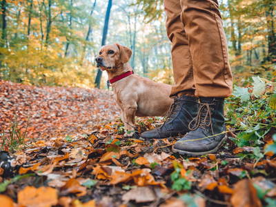 Bild 26 aus  Villa & Landhäuser Ottilienruh