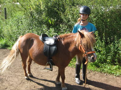 Auf dem Rücken der Pferde.........
