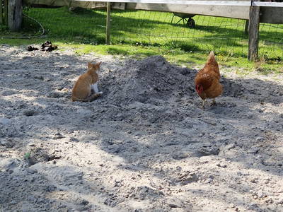 Bild 58 aus  Küstenhof Oldewurtel