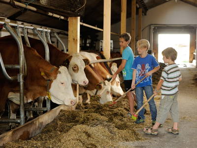 Bild 8 aus  LandSelection Thomahof         -    7 Mal Beliebtester Ferienhof Bayerns