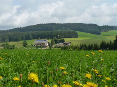 Bild 3 aus  Stalterhof