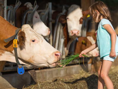 Bild 10 aus  Stoffnerhof