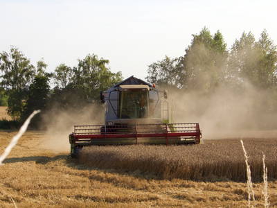 Unser Mähdrescher in der Weizenernte