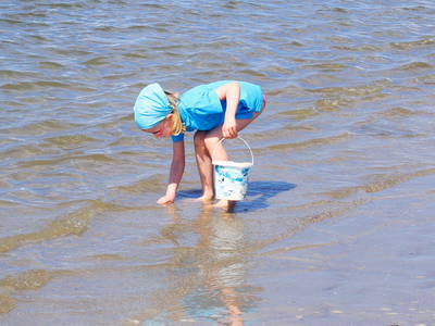 Bild 46 aus  Ferienhof Peter -  Ponys - streicheln, striegeln, füttern  -  Wattwanderungen + ganz viel Nordsee