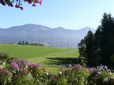 Bild 14 aus  Der Adlerhof