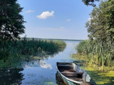 Bild 11 aus  Ferienhaus Landlust