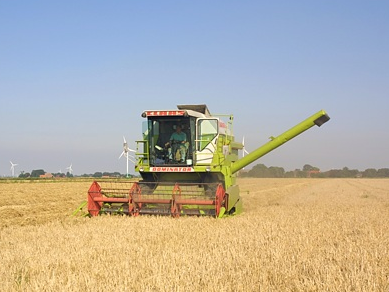 Bild 15 aus  Ennenhof