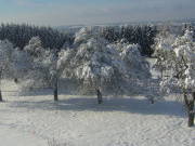 Bild 125 aus  Allgäu Bergferienhof