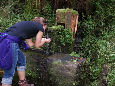 Bild 10 aus  Hanselishof