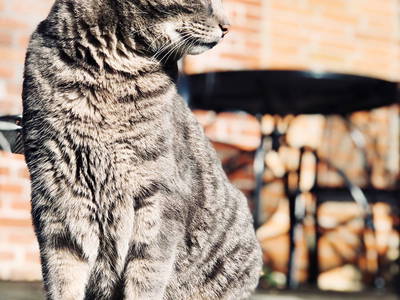 Bild 9 aus  Hof Hospitalmühle